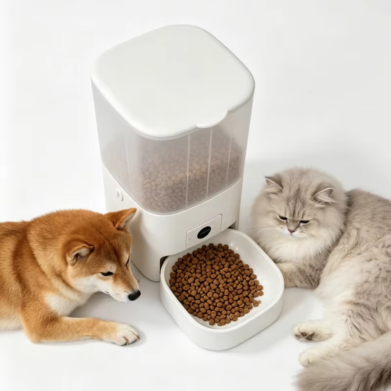 6L Automatic Cat Feeder With C - Kitchen Appliances Video review and price