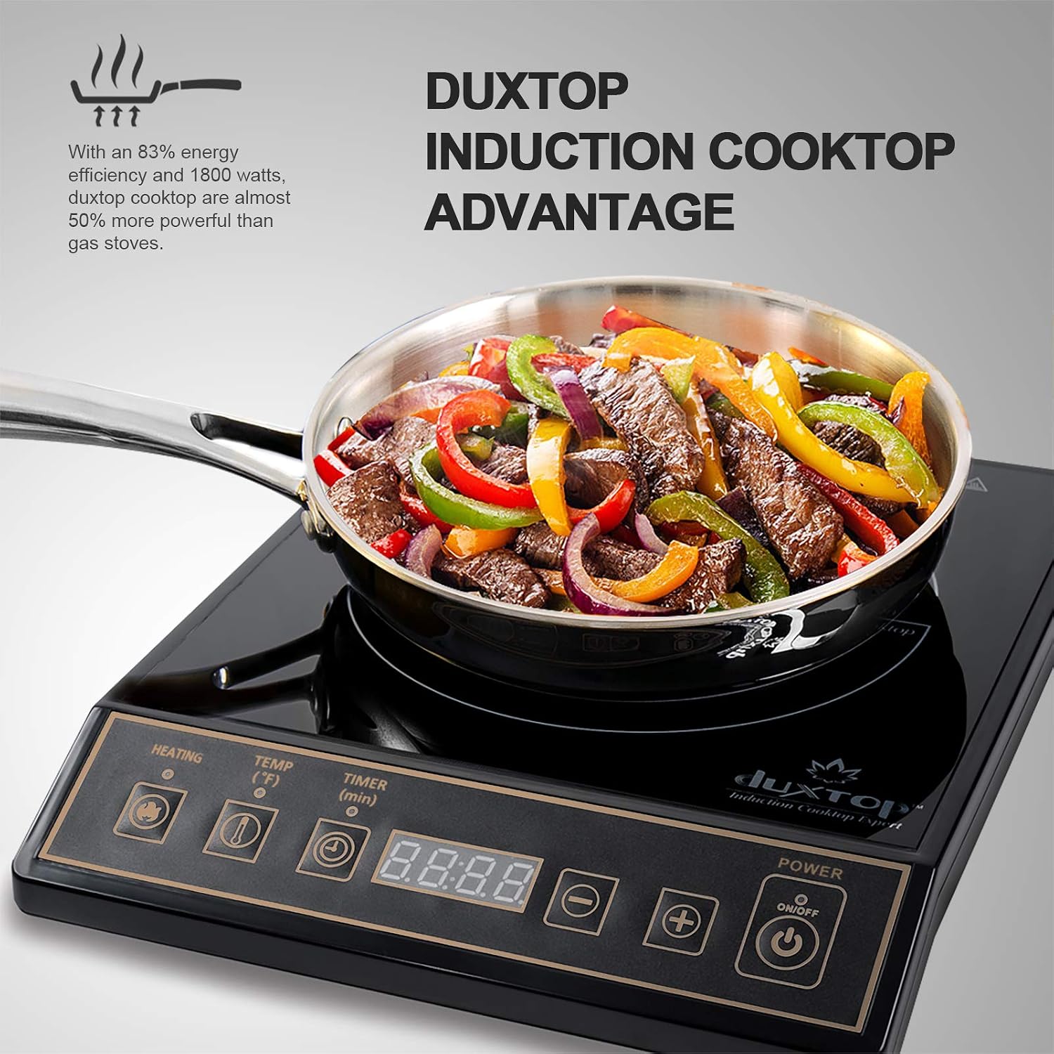 1800W Portable Induction Cookt - Induction Cooktop Portable review and price