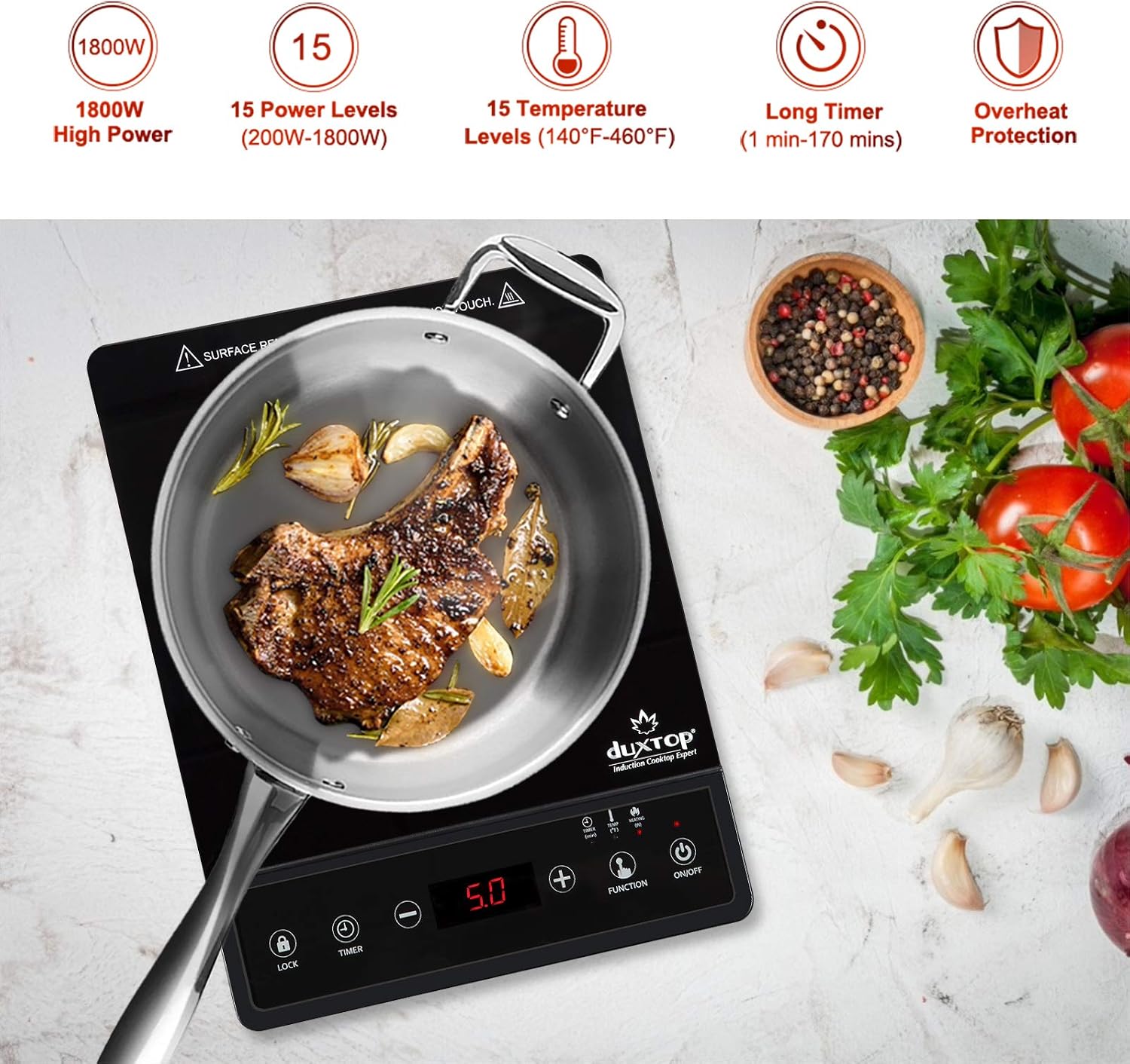 Portable Induction Cooktop, Co - Induction Cooktop Portable review and price